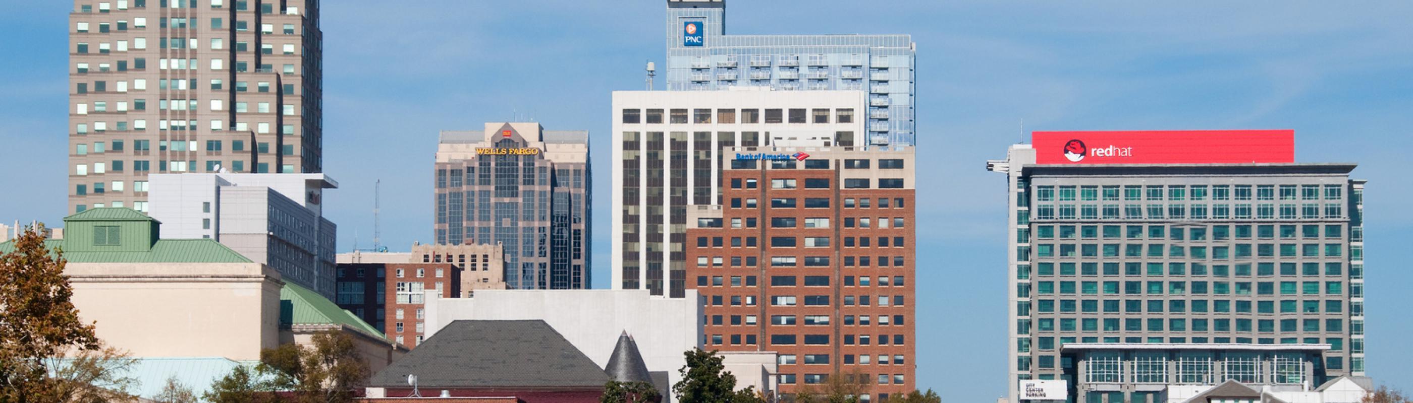 Raleigh skyline