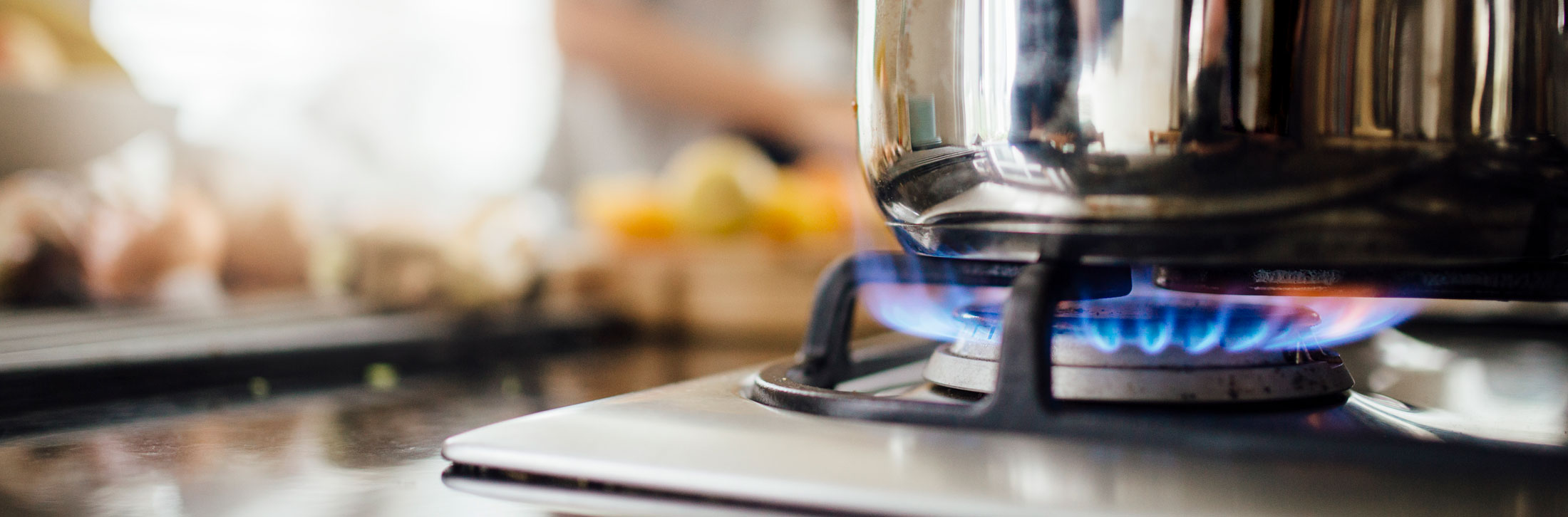 Oven-Stove-Range Repair