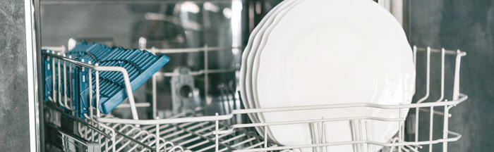 Dishwasher Repair