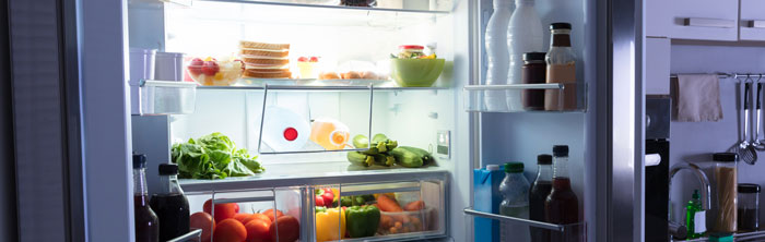 Refrigerator repair